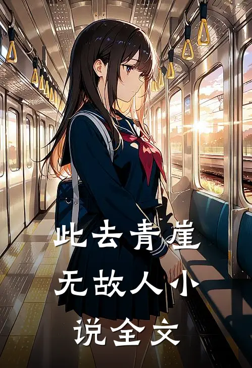 此去青崖无故人小说全文