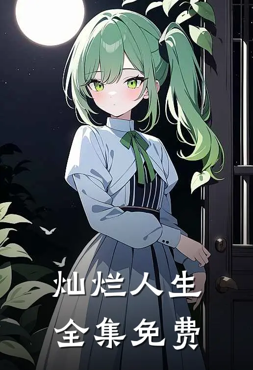 灿烂人生 全集免费