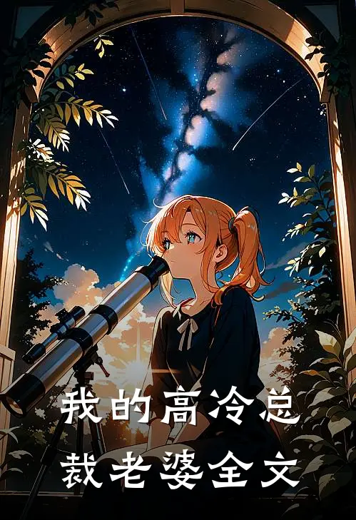 我的高冷总裁老婆全文