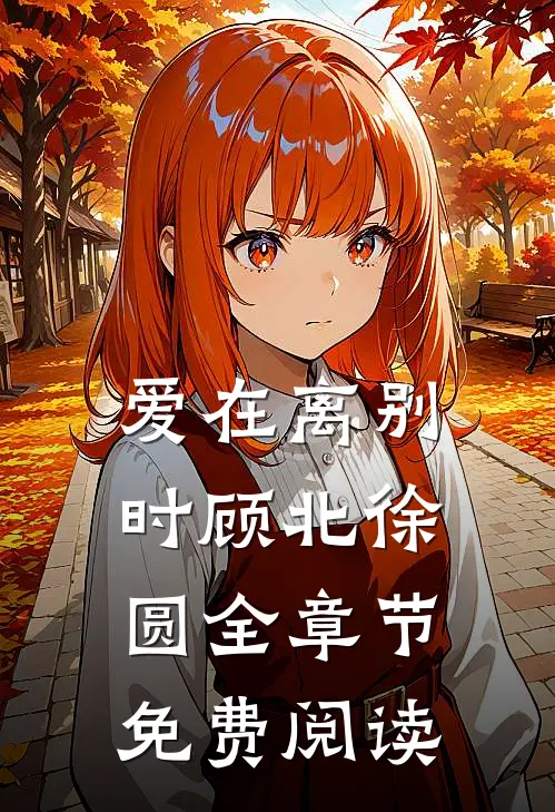 爱在离别时顾北徐圆全章节免费阅读