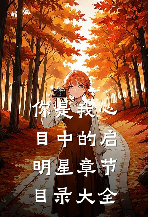你是我心目中的启明星章节目录大全
