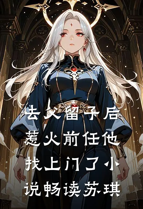 去父留子后，惹火前任他找上门了小说畅读苏琪
