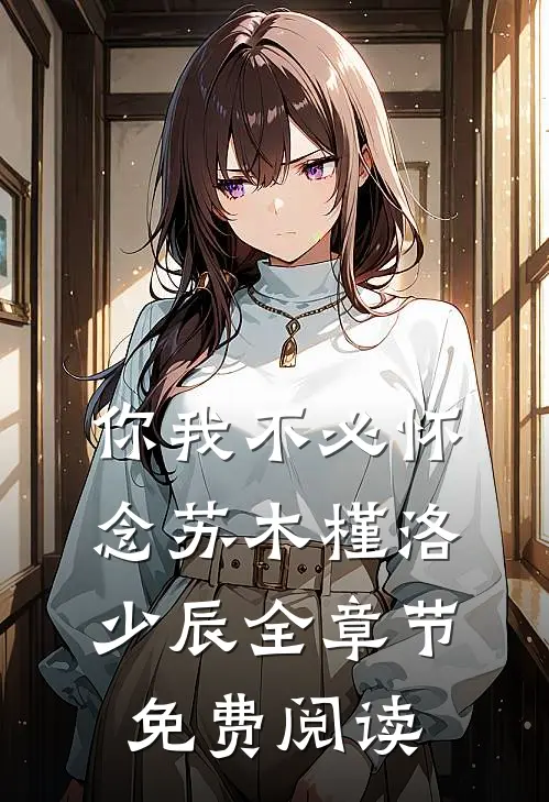 你我不必怀念苏木槿洛少辰全章节免费阅读