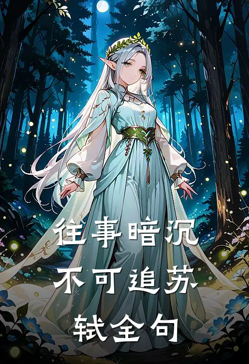 往事暗沉不可追苏轼全句