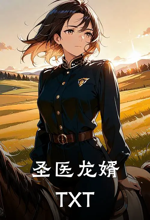 圣医龙婿TXT