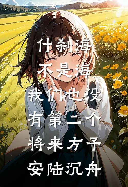 什刹海不是海，我们也没有第二个将来方予安陆沉舟