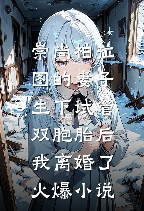 崇尚柏拉图的妻子生下试管双胞胎后，我离婚了火爆小说