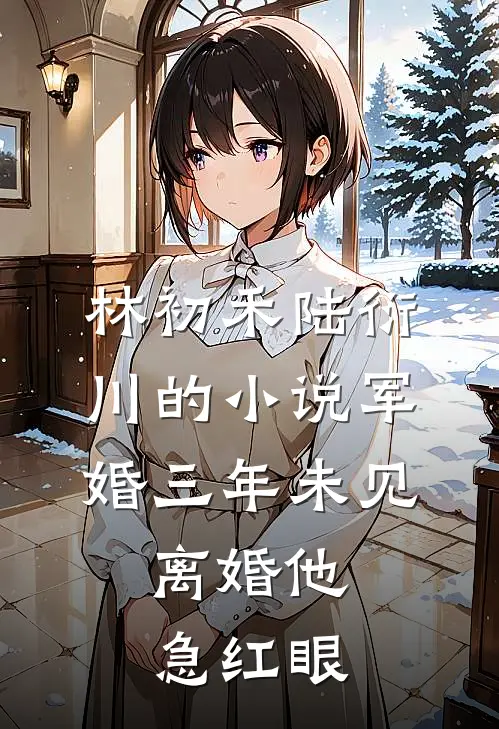林初禾陆衍川的小说军婚三年未见，离婚他急红眼