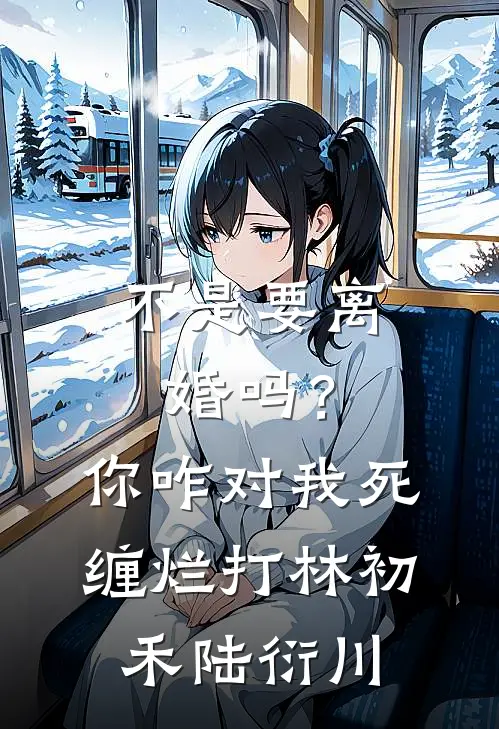 不是要离婚吗？你咋对我死缠烂打林初禾陆衍川