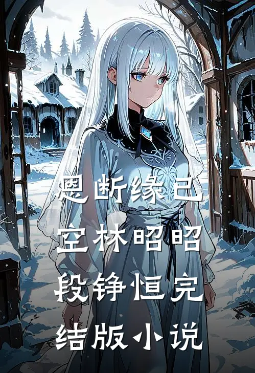 恩断缘已空林昭昭段铮恒完结版小说