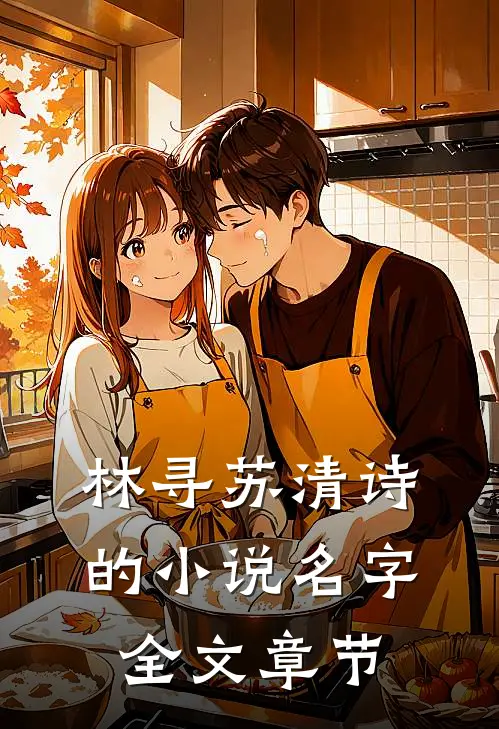 林寻苏清诗的小说名字全文章节
