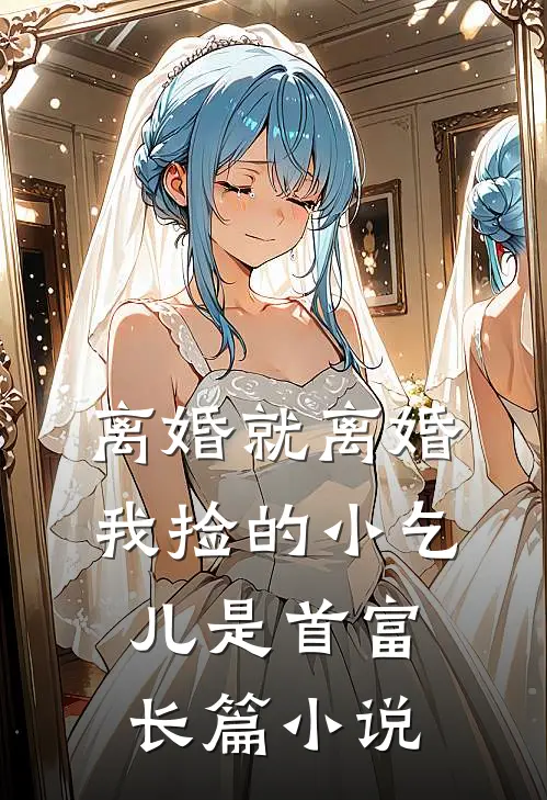 离婚就离婚，我捡的小乞儿是首富长篇小说