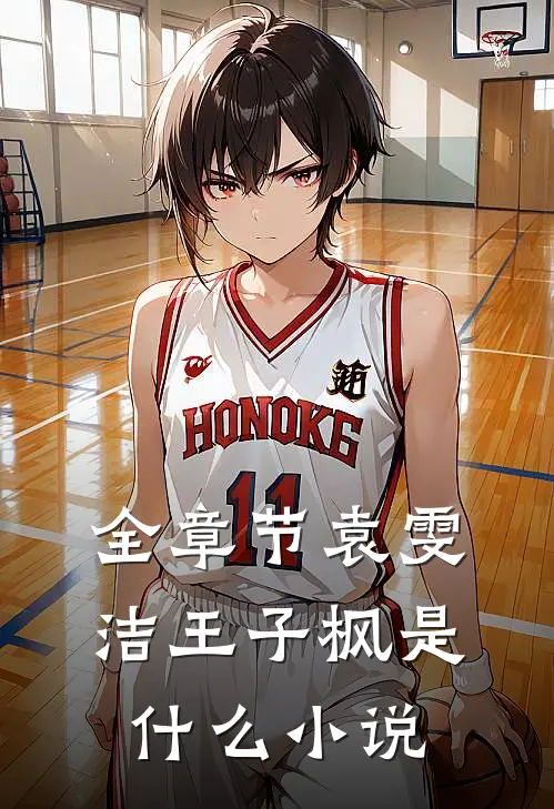 全章节袁雯洁王子枫是什么小说