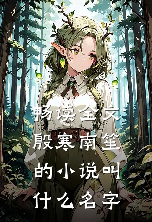 畅读全文殷寒南笙的小说叫什么名字
