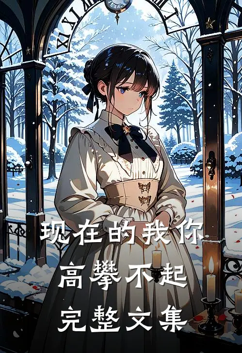 现在的我你高攀不起完整文集