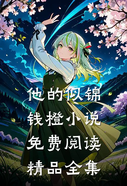 他的似锦钱橙小说免费阅读精品全集