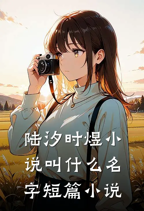 陆汐时煜小说叫什么名字短篇小说