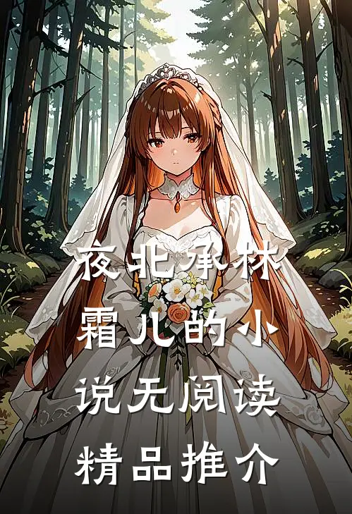 夜北承林霜儿的小说无阅读精品推介