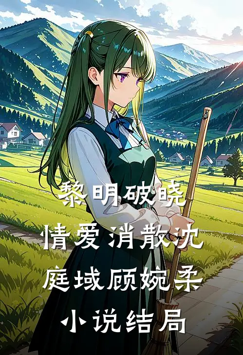 黎明破晓，情爱消散沈庭域顾婉柔小说结局