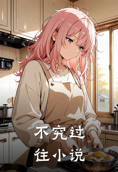 不究过往小说