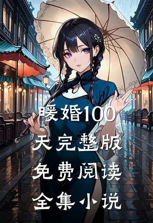 暖婚100天完整版免费阅读全集小说