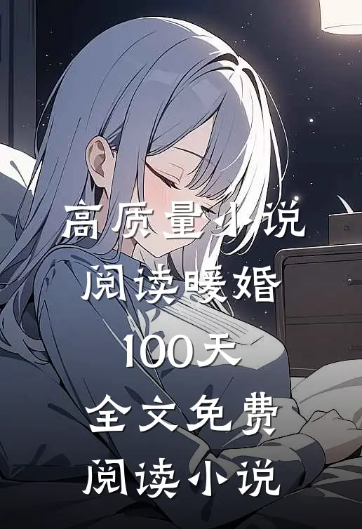 高质量小说阅读暖婚100天全文免费阅读小说