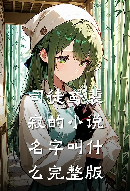 司徒鸢裴寂的小说名字叫什么完整版