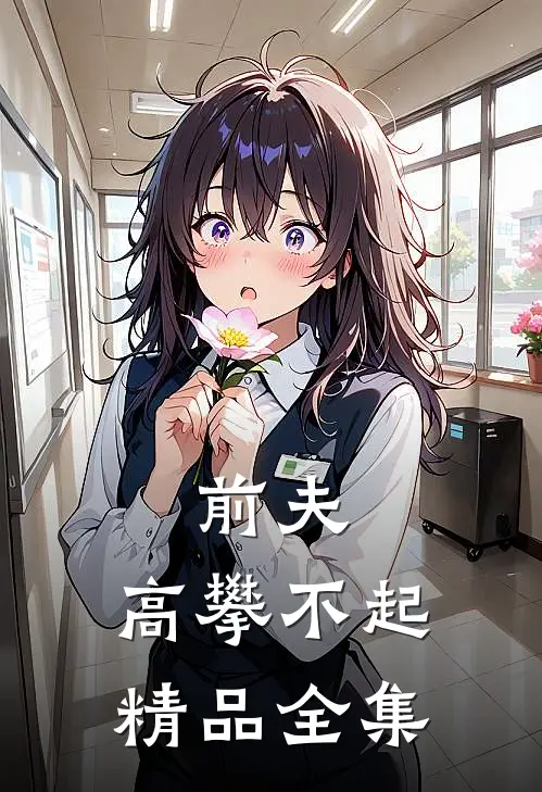前夫，高攀不起精品全集