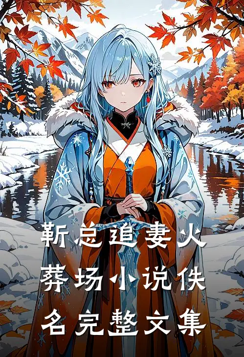靳总追妻火葬场小说佚名完整文集