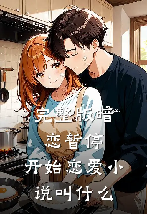 完整版暗恋暂停，开始恋爱小说叫什么