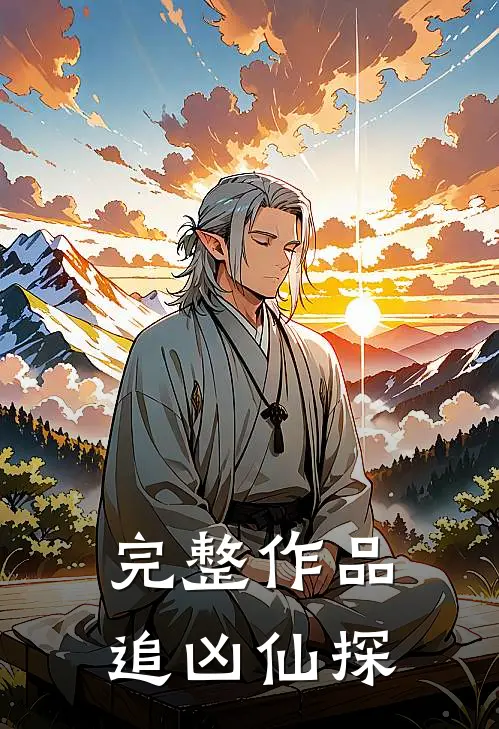 完整作品追凶仙探
