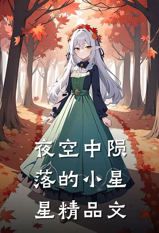 夜空中陨落的小星星精品文