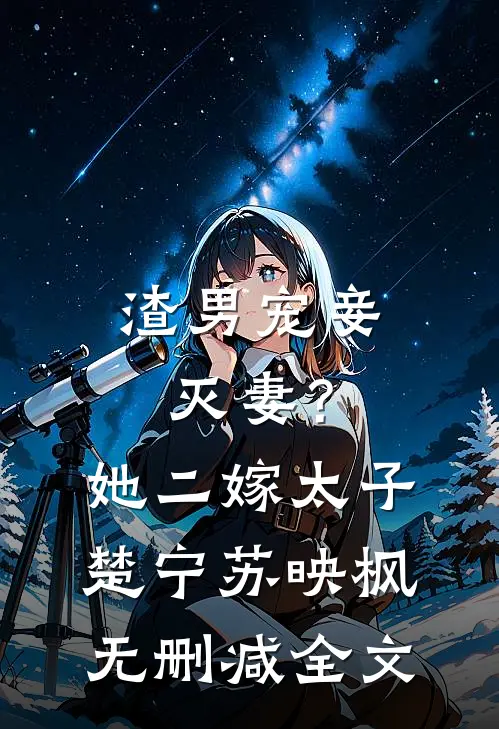 渣男宠妾灭妻？她二嫁太子楚宁苏映枫无删减全文