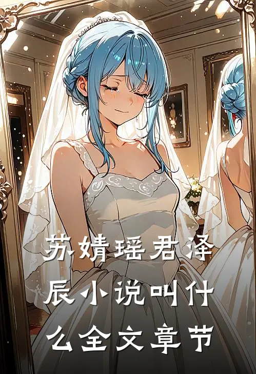 苏婧瑶君泽辰小说叫什么全文章节