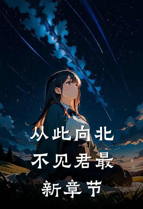 从此向北不见君最新章节