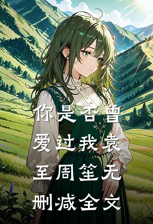 你是否曾爱过我袁至周笙无删减全文