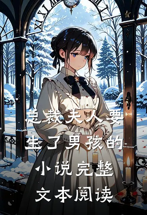 总裁夫人要生了男孩的小说完整文本阅读
