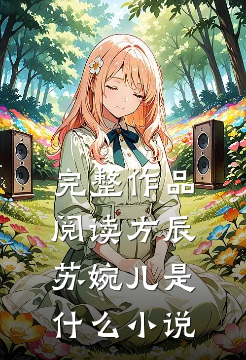 完整作品阅读方辰苏婉儿是什么小说