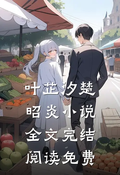 叶芷汐楚昭炎是什么小说