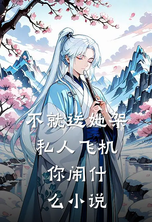 不就送她架私人飞机，你闹什么小说