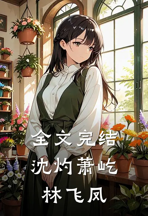 全文完结沈灼萧屹林飞凤
