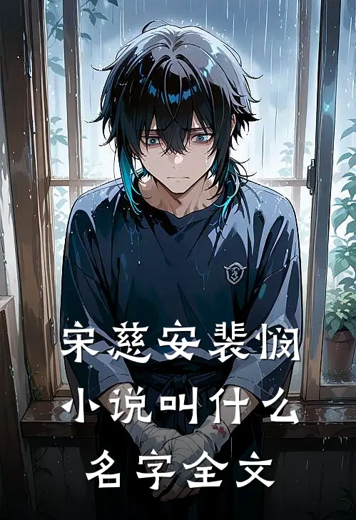 宋慈安裴悯小说叫什么名字全文