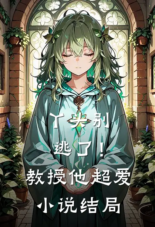 丫头别逃了！教授他超爱小说结局