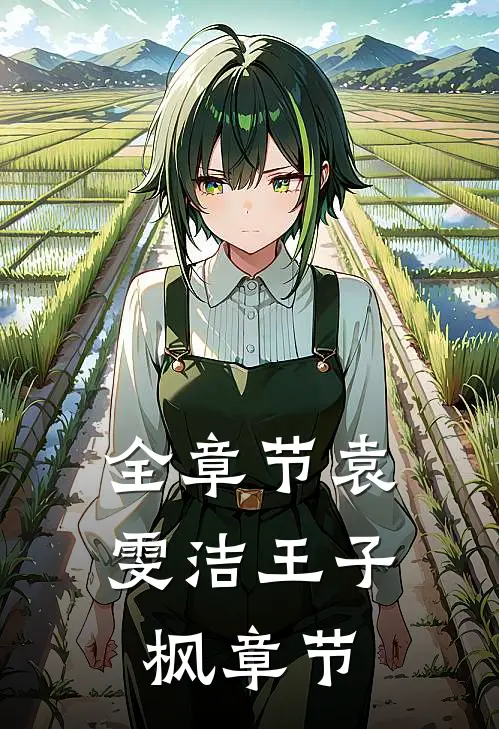 全章节袁雯洁王子枫章节
