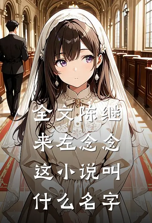 全文陈继来左念念这小说叫什么名字