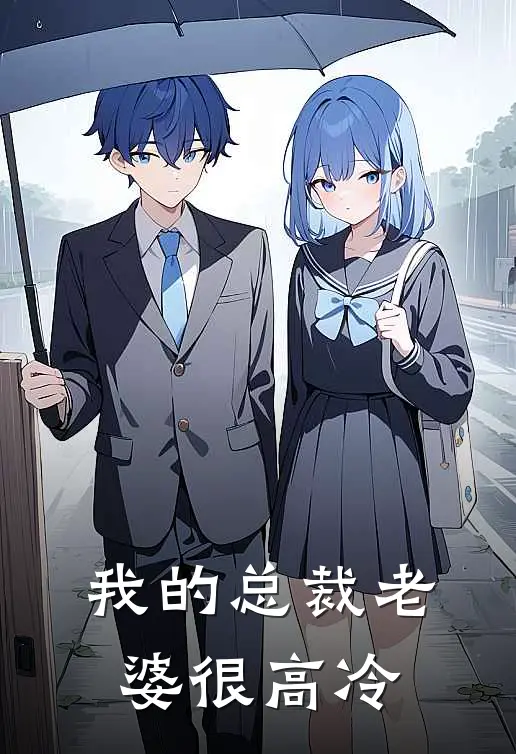 我的总裁老婆很高冷