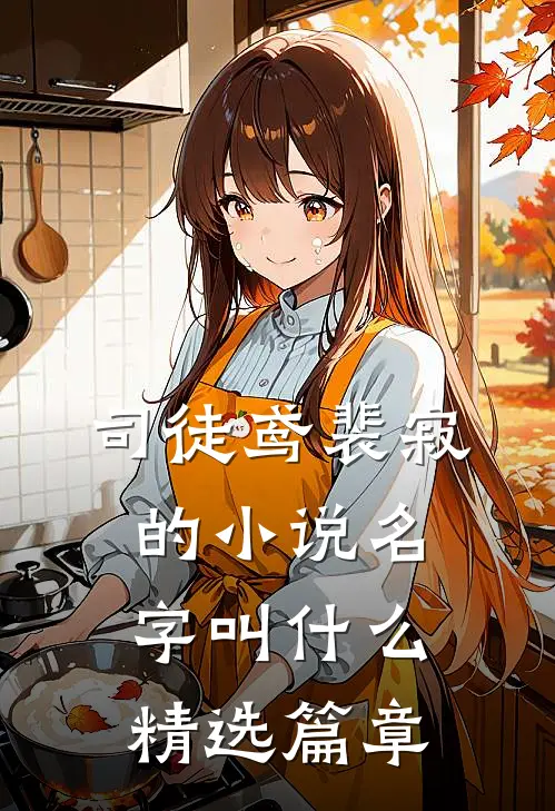 司徒鸢裴寂的小说名字叫什么精选篇章