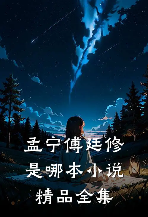 孟宁傅廷修是哪本小说精品全集