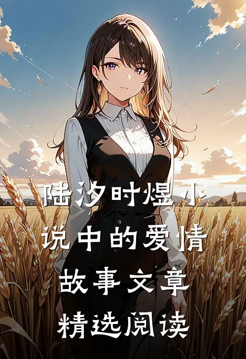 陆汐时煜小说中的爱情故事文章精选阅读