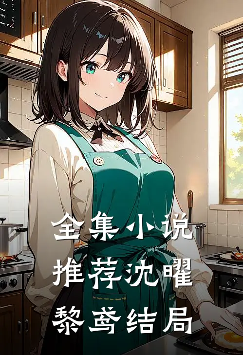 全集小说推荐沈曜黎鸢结局
